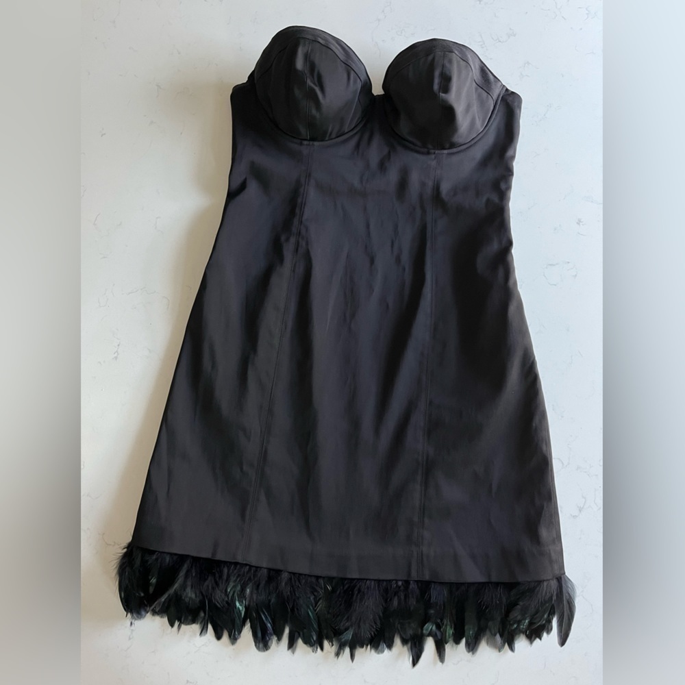 Guess Bustier Feather Corset Mini Dress